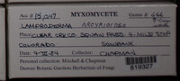 Image Associated With the Occurence